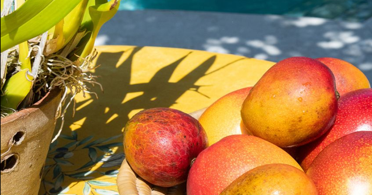 benefits-of-mango-fruit