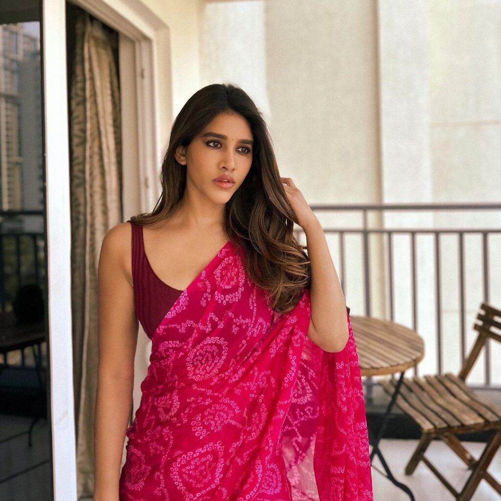 nabha-natesh-gorgeous-looks-in-traditional-pink-saree