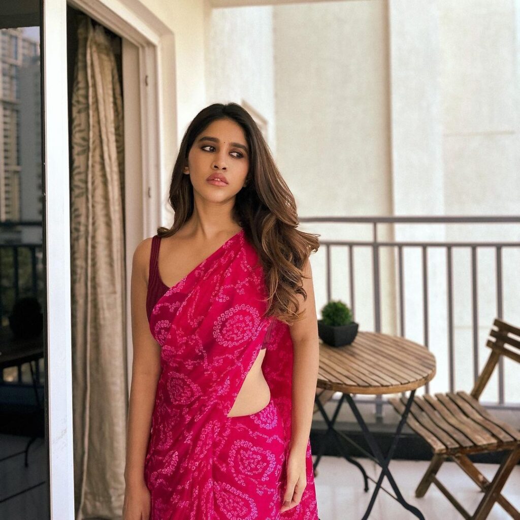 nabha-natesh-gorgeous-looks-in-traditional-pink-saree