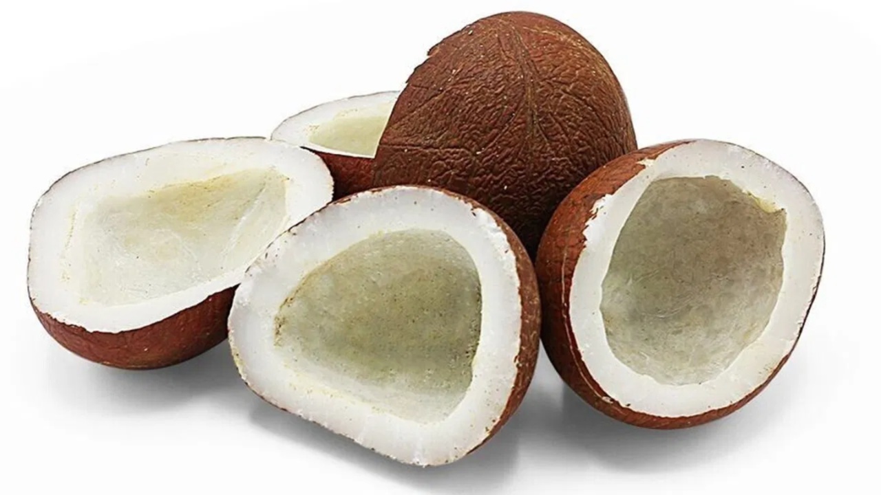 amazing-health-benefits-of-dried-coconut-nutrition