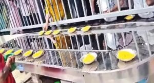 Good news for tirumala devotees no more waiting at prasadan counters know details