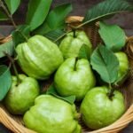 Guava fruit: జామ పండు ఆరోగ్యానికి మంచిదే కానీ వీళ్ళు మాత్రం కాదండోయ్?