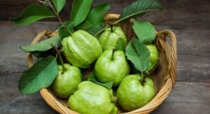 Guava fruit: జామ పండు ఆరోగ్యానికి మంచిదే కానీ వీళ్ళు మాత్రం కాదండోయ్?