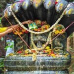Sravana Masam: శ్రావణ మాసంలోనే పాములు ఎందుకు కనిపిస్తాయి? దీని వెనుక ఉన్న రహస్యం ఇదే?